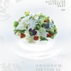 Pierre Hermé: Chocolate Bakery, Deserts 5