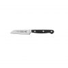 Paring Knife 10cm - Century by Tramontina